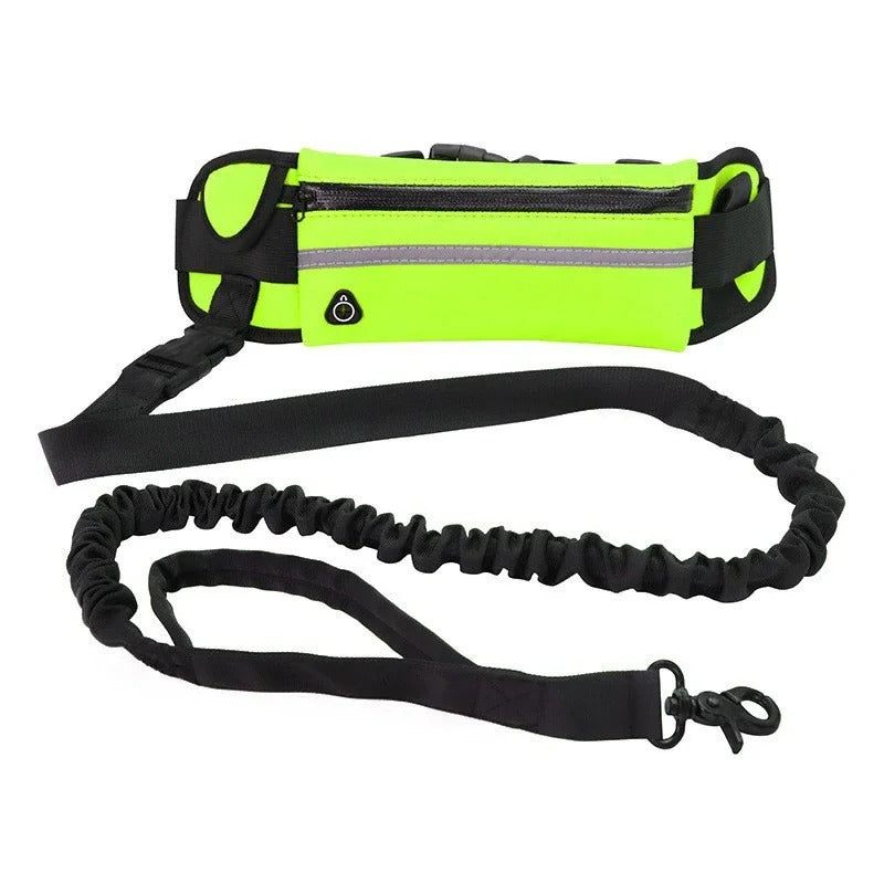 Handsfree hundkoppel – löpning & promenader Grön