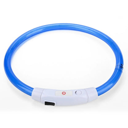 LED Hundhalsband – Uppladdningsbart & Synligt i Mörker