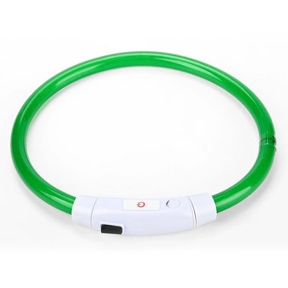 LED Hundhalsband – Uppladdningsbart & Synligt i Mörker