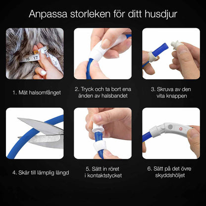 LED Hundhalsband – Uppladdningsbart & Synligt i Mörker