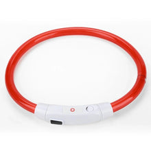 LED Hundhalsband – Uppladdningsbart & Synligt i Mörker