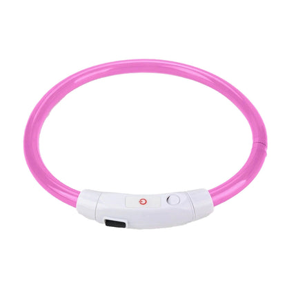 LED Hundhalsband – Uppladdningsbart & Synligt i Mörker