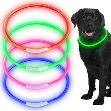 LED Hundhalsband – Uppladdningsbart & Synligt i Mörker