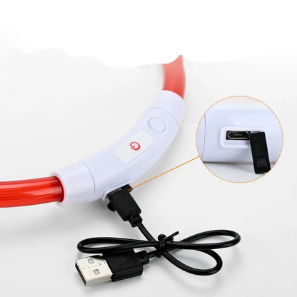 LED Hundhalsband – Uppladdningsbart & Synligt i Mörker