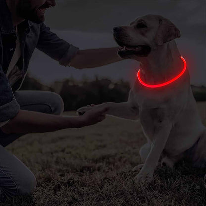 LED Hundhalsband – Uppladdningsbart & Synligt i Mörker
