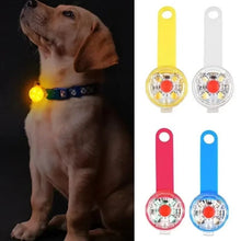 LED Hundhalsband USB – Vattentät & Återuppladdningsbar