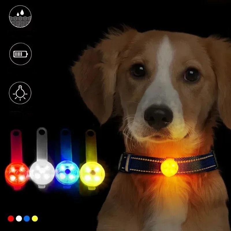 LED Hundhalsband USB – Vattentät & Återuppladdningsbar